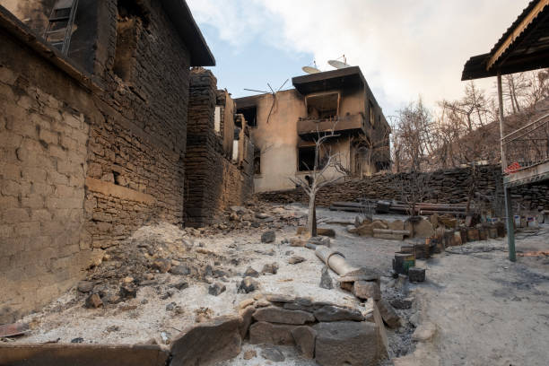 istock Burnt and abandoned houses 1333436003