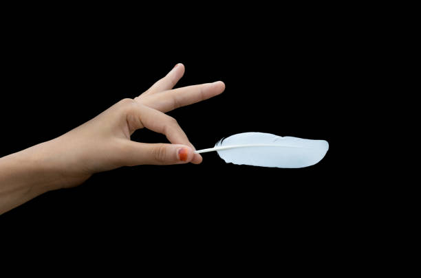 White bird feather holding with a young female hand on an isolated black background
