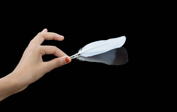 istock A young female hand holding two bird feathers on an isolated black background 1333436430