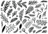 istock Hand drawn Christmas plants and floral patterns 1333437427