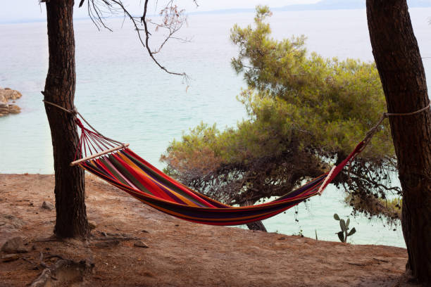 istock Colorful camping hammock in a pine forest 1333438332