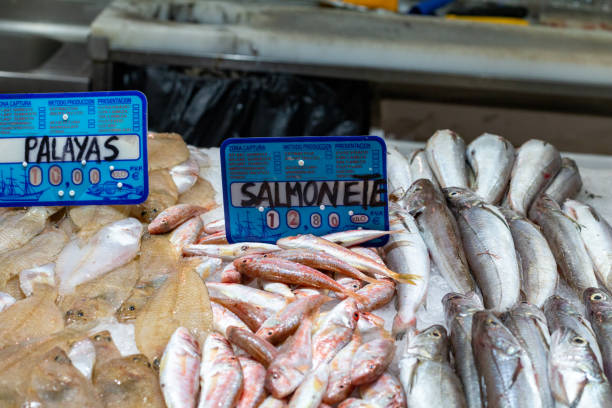 Striped Red Mullet at Mercado Central in Valencia, Spain. Several illustrative symbols are visible.