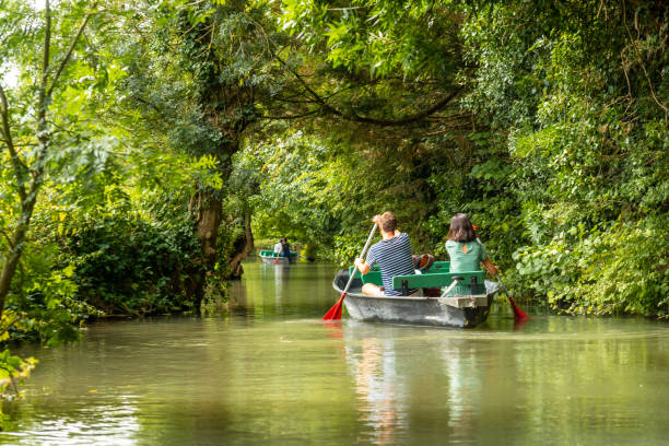 um jovem casal remando o barco navegando entre la garette e coulon, marais poitevin, a veneza verde, perto da cidade de niort, frança - paul - fotografias e filmes do acervo