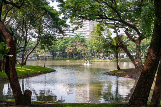 istock Lake View In Lumpini Park, Bangkok 1333443796