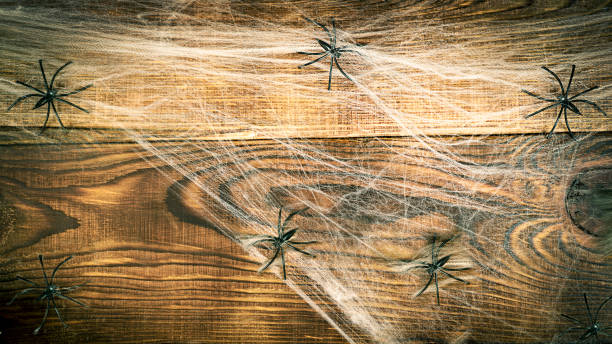 istock Brown Wooden background covered with spider webs with black spiders 1333451120