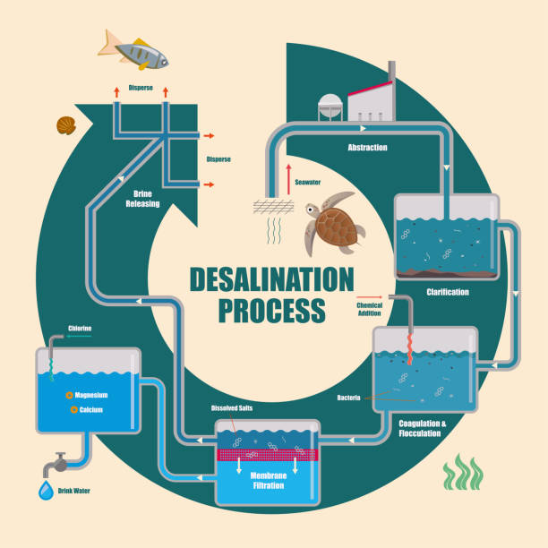 담수화 공정의 일러스트레이션 다이어그램 - desalination plant 이미지 stock illustrations