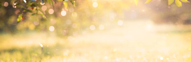 istock Blurred natural seasonal banner 1333451154