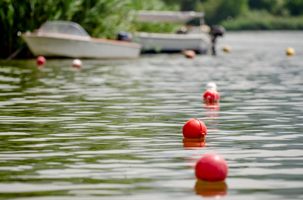 istock Buoys along the lake 1333452599