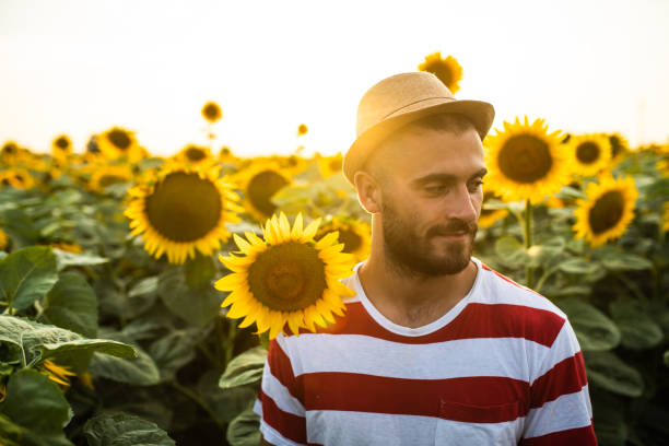 istock An attractive man walking though a sunflower field 1333453231