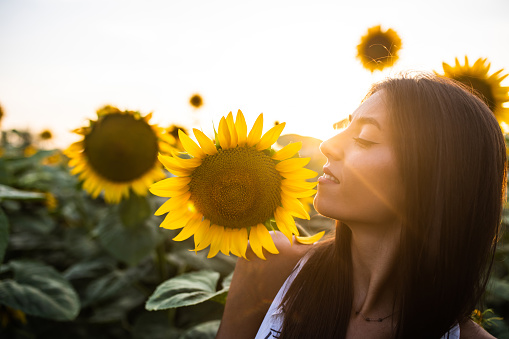 A beautiful young woman is smiling happily in a sunflower field at sunset