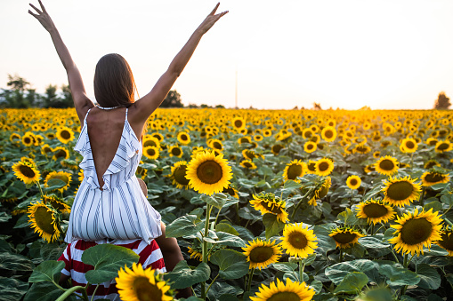 A happy young woman is sitting on her boyfriend's shoulders with her hands up in the air in a sunflower field enjoying the sunset