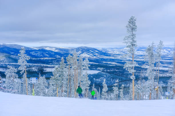 istock View of two  downhill skiers skiing down between snow covered trees after blizzard 1333455681
