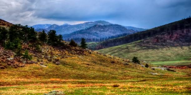 istock Pasture Red Feather Lakes.  Roosevelt National Forest, Colorado. 1333455696