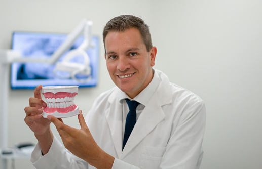 Portrait of a happy dentist holding dentures and smiling at his office and looking at the camera - dental health concepts