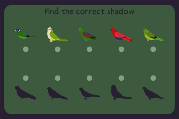 Matching children educational game with parrots - australian ringneck, quaker, red winged, eclectus, eastern grand. Find the correct shadow. Matching children educational game with parrots - australian ringneck, quaker, red winged, eclectus, eastern grand. Find the correct shadow. Vector illustration. echo parakeet stock illustrations