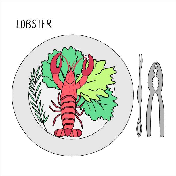 illustrations, cliparts, dessins animés et icônes de assiette avec homard, basilic, salade et craquelins de homard à côté de lui griffonner illustration vectorielle isolée sur un fond blanc. délicieux fruits de mer. parfait pour la décoration de menu - lobster cracker