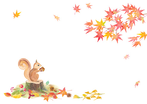 Autumn forest frame design. Watercolor illustration of a squirrel with an acorn and autumn leaves. Watercolor trace vector.