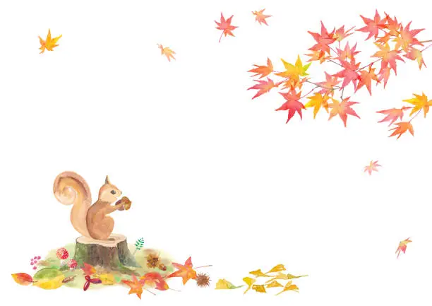 Vector illustration of Autumn forest frame design. Watercolor illustration of a squirrel with an acorn and autumn leaves. Watercolor trace vector.