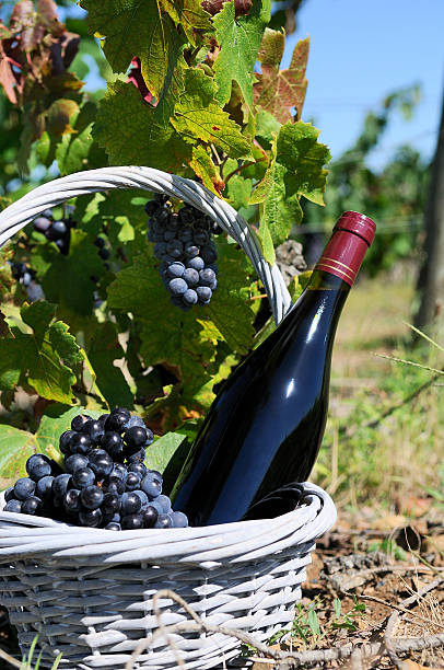 istock Bottle of red wine 133347535