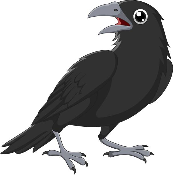Cartoon crow isolated on white background Vector illustration of Cartoon crow isolated on white background raven bird stock illustrations