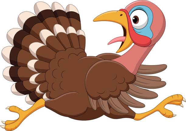 Cartoon funny turkey bird running Vector illustration of Cartoon funny turkey bird running free thanksgiving pic stock illustrations