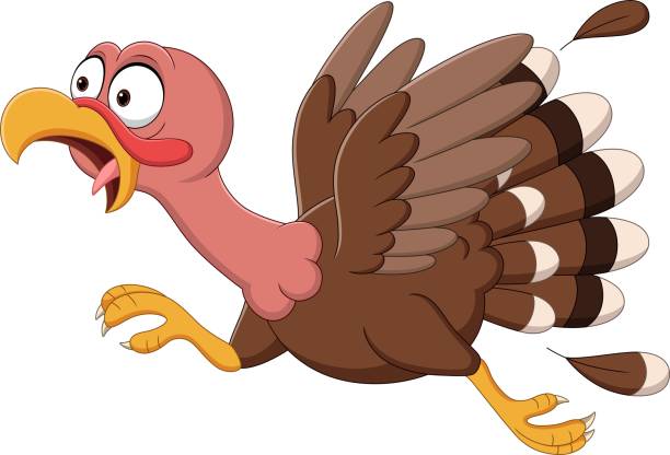 Cartoon funny turkey bird running Vector illustration of Cartoon funny turkey bird running free thanksgiving pic stock illustrations