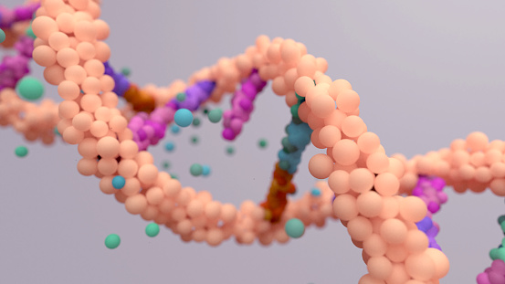 DNA mutation, a mutation is a change in a DNA sequence, mutations can result from DNA copying mistakes made during cell division.