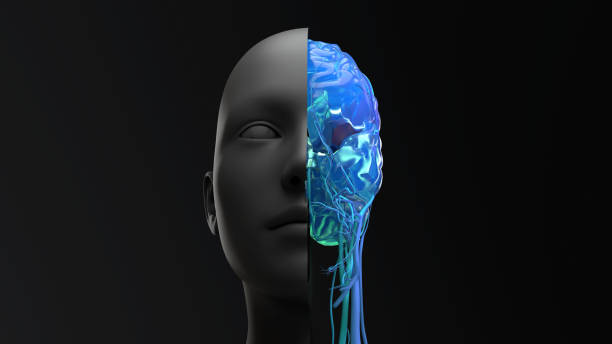 istock Brain Cancer, head with tumor inside brain with blood vessels, 3d illustration 1333477633