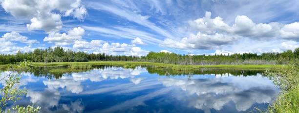 Alaska Lake With Cloud Reflection The beauty of Interior Alaska is enhanced with the smooth reflective waters. spring flowing water photos stock pictures, royalty-free photos & images