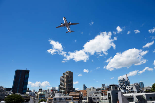 istock Airplane flying over the metropolis 1333493043