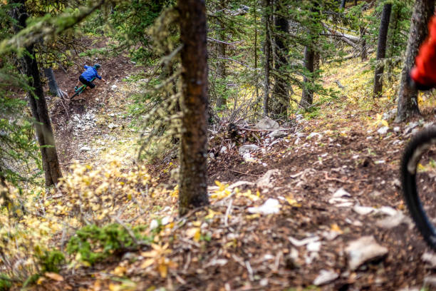 istock View of mountain bikers racing through rainforest 1333494434