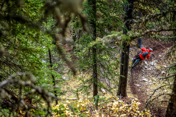 istock View of mountain biker racing through rainforest 1333494443