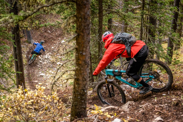 istock View of mountain bikers racing through rainforest 1333494444