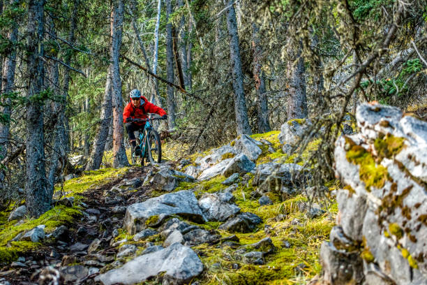 istock View of mountain biker racing through rainforest 1333494454