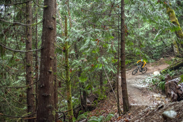 istock View of mountain biker racing through rainforest 1333494516