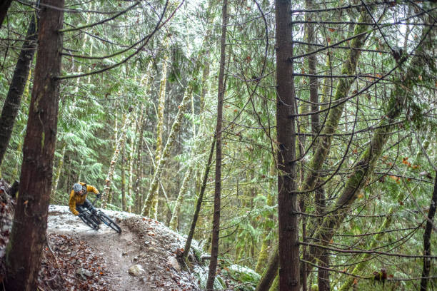 istock View of mountain biker racing through rainforest 1333494527