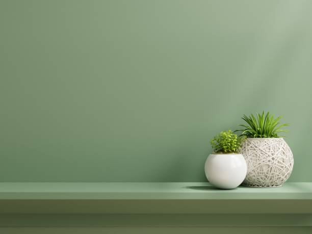 istock Interior wall mockup with plant,Green wall and shelf. 1333496141