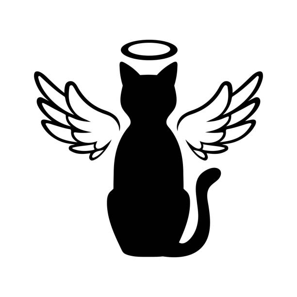 illustrazioni stock, clip art, cartoni animati e icone di tendenza di illustrazione vector cat memorial graphic cat angel - kitten white background domestic animals domestic cat