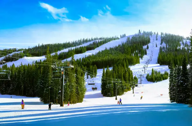 Photo of View of mountain covered with pine trees and snow  with ski runs and skiers and snowboarders