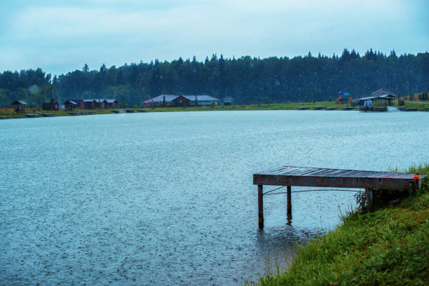 Fishing tackles for fishing rods, floats, nets