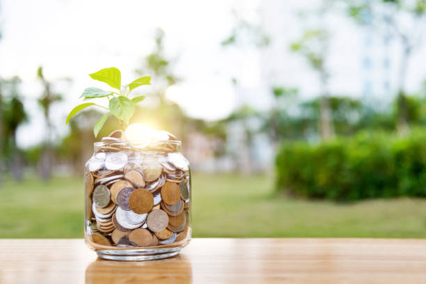 istock Young plant growing from coins 1333504678