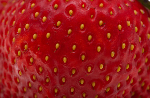 background of ripe strawberries close up