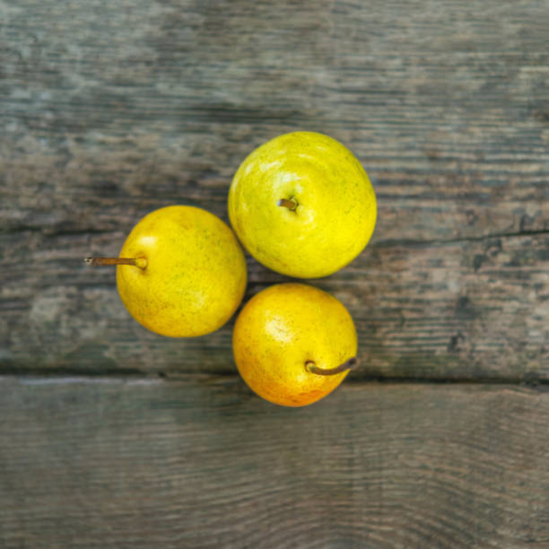 istock Three country pears on the bench with the space for your text. 1333512656