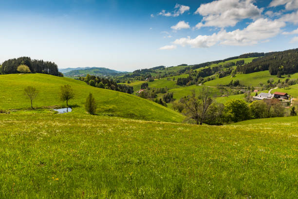 istock Hilly landscape in Black Forest, Baden-Wuerttemberg, Germany 1333514869