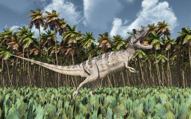 istock Dinosaur Ceratosaurus in a rainforest 1333515452