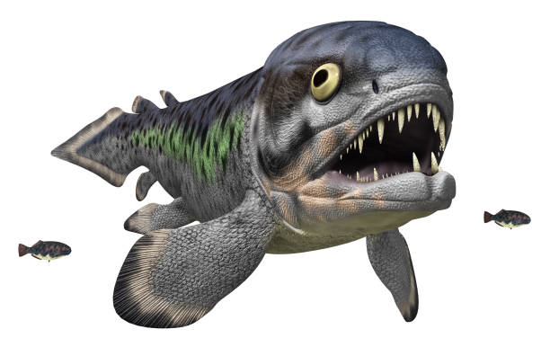 istock Prehistoric fish Rhizodus isolated on white background 1333515918