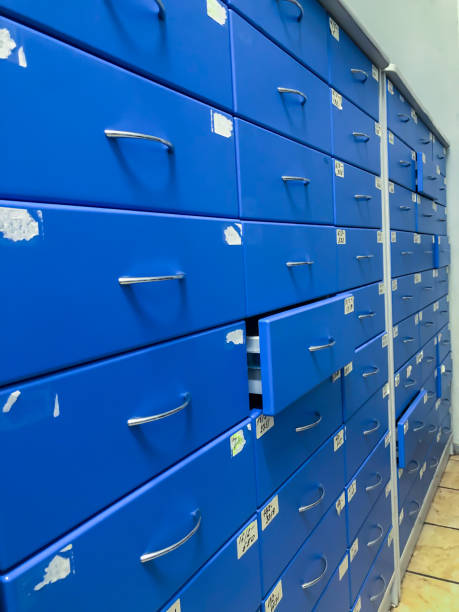 istock Archive of bio material in a laboratory 1333516016