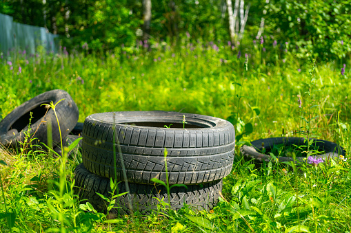 Old rubber car tires in a green natural forest. Destruction of ecology.