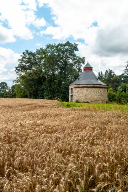 Straw barn in French Brittany in July summer, near the Broceliande forest. Straw barn in French Brittany in July summer, near the Broceliande forest. ille et vilaine stock pictures, royalty-free photos & images