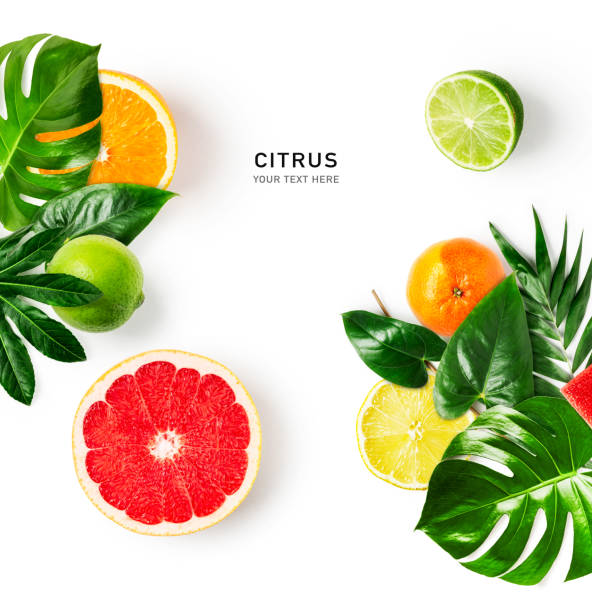 Citrus fruits and tropical leaves creative layout